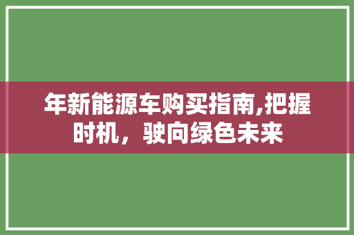 年新能源车购买指南,把握时机，驶向绿色未来