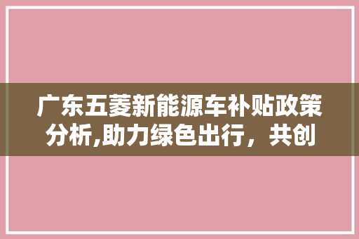 广东五菱新能源车补贴政策分析,助力绿色出行，共创美好未来