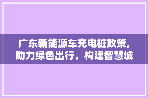 广东新能源车充电桩政策,助力绿色出行，构建智慧城市