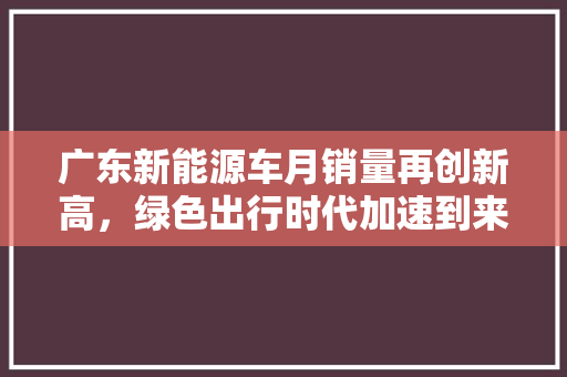 广东新能源车月销量再创新高，绿色出行时代加速到来