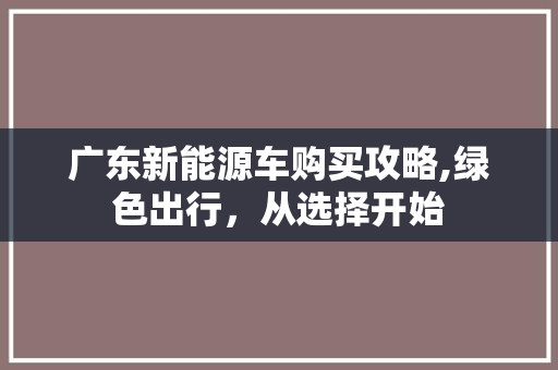 广东新能源车购买攻略,绿色出行，从选择开始