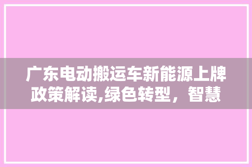 广东电动搬运车新能源上牌政策解读,绿色转型，智慧物流新篇章