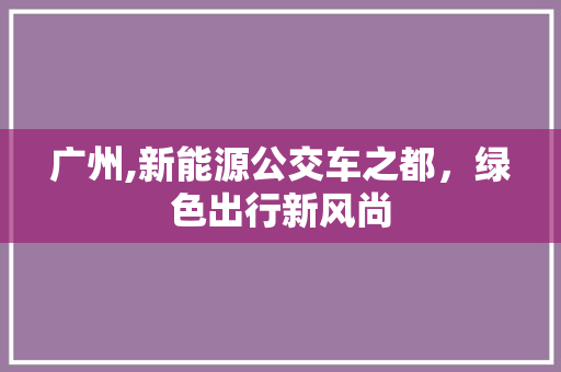 广州,新能源公交车之都，绿色出行新风尚