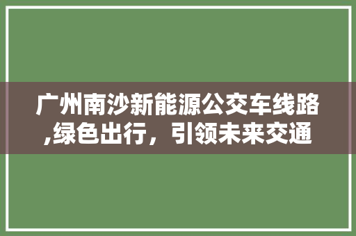 广州南沙新能源公交车线路,绿色出行，引领未来交通潮流