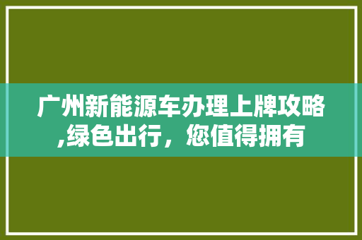 广州新能源车办理上牌攻略,绿色出行，您值得拥有