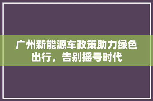 广州新能源车政策助力绿色出行，告别摇号时代