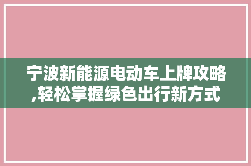 宁波新能源电动车上牌攻略,轻松掌握绿色出行新方式