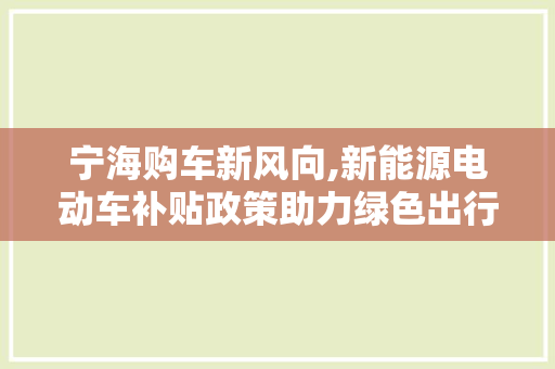 宁海购车新风向,新能源电动车补贴政策助力绿色出行