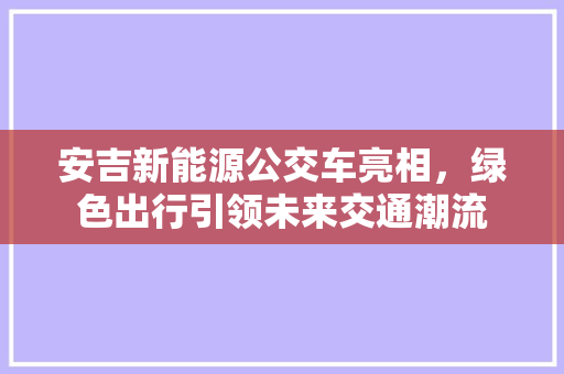 安吉新能源公交车亮相，绿色出行引领未来交通潮流