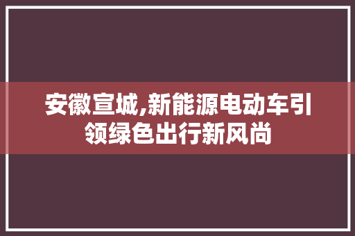 安徽宣城,新能源电动车引领绿色出行新风尚
