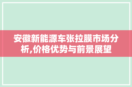安徽新能源车张拉膜市场分析,价格优势与前景展望
