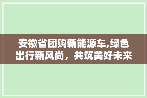 安徽省团购新能源车,绿色出行新风尚，共筑美好未来