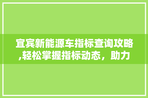宜宾新能源车指标查询攻略,轻松掌握指标动态，助力绿色出行