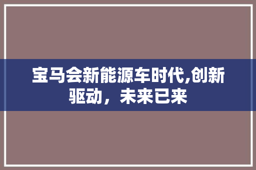 宝马会新能源车时代,创新驱动，未来已来