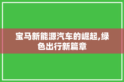 宝马新能源汽车的崛起,绿色出行新篇章