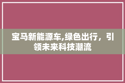 宝马新能源车,绿色出行，引领未来科技潮流
