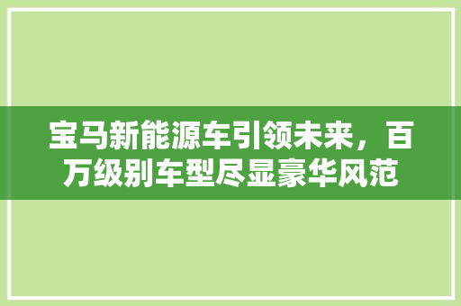 宝马新能源车引领未来，百万级别车型尽显豪华风范