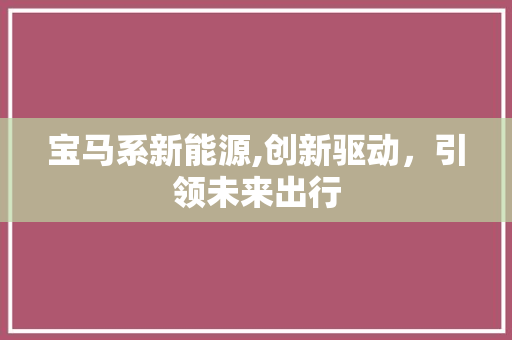 宝马系新能源,创新驱动，引领未来出行