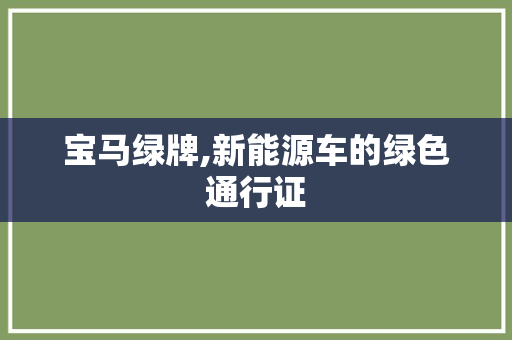 宝马绿牌,新能源车的绿色通行证