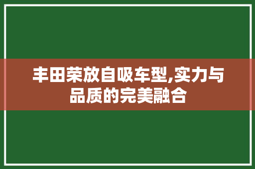 丰田荣放自吸车型,实力与品质的完美融合