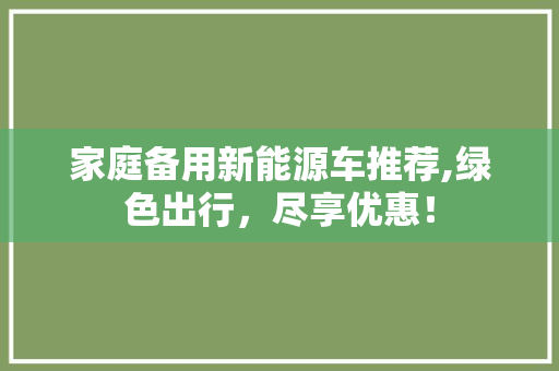 家庭备用新能源车推荐,绿色出行，尽享优惠！