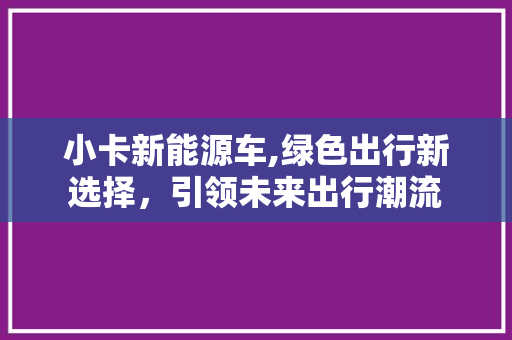 小卡新能源车,绿色出行新选择，引领未来出行潮流