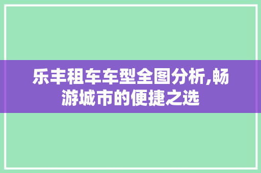 乐丰租车车型全图分析,畅游城市的便捷之选