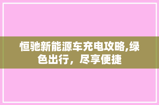 恒驰新能源车充电攻略,绿色出行，尽享便捷