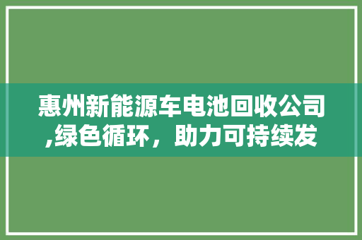 惠州新能源车电池回收公司,绿色循环，助力可持续发展