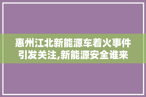 惠州江北新能源车着火事件引发关注,新能源安全谁来守护