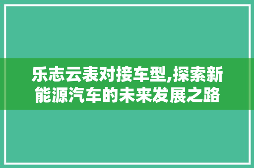 乐志云表对接车型,探索新能源汽车的未来发展之路