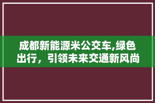 成都新能源米公交车,绿色出行，引领未来交通新风尚