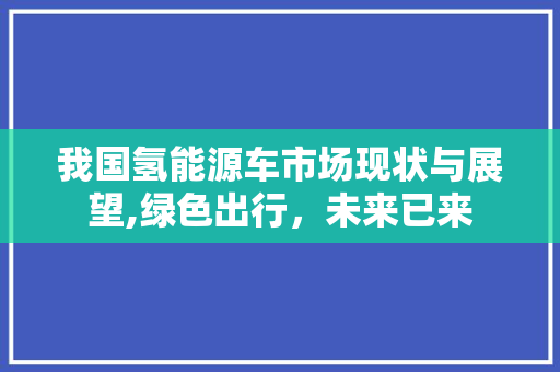 我国氢能源车市场现状与展望,绿色出行，未来已来