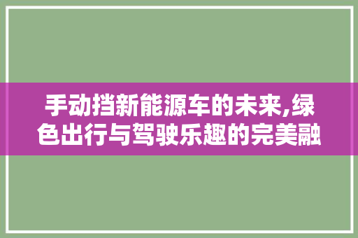 手动挡新能源车的未来,绿色出行与驾驶乐趣的完美融合