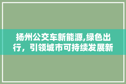 扬州公交车新能源,绿色出行，引领城市可持续发展新潮流