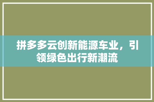 拼多多云创新能源车业，引领绿色出行新潮流
