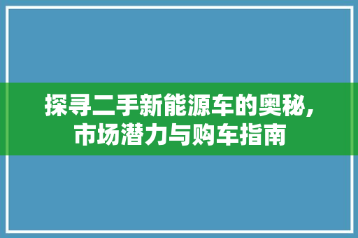 探寻二手新能源车的奥秘,市场潜力与购车指南