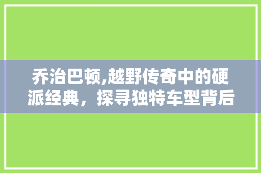 乔治巴顿,越野传奇中的硬派经典，探寻独特车型背后的故事