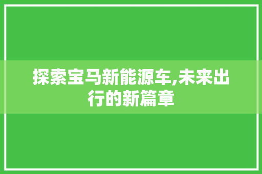探索宝马新能源车,未来出行的新篇章