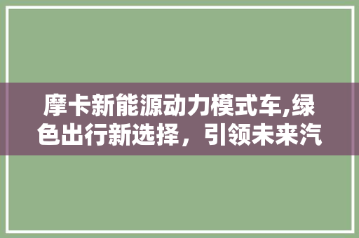 摩卡新能源动力模式车,绿色出行新选择，引领未来汽车潮流