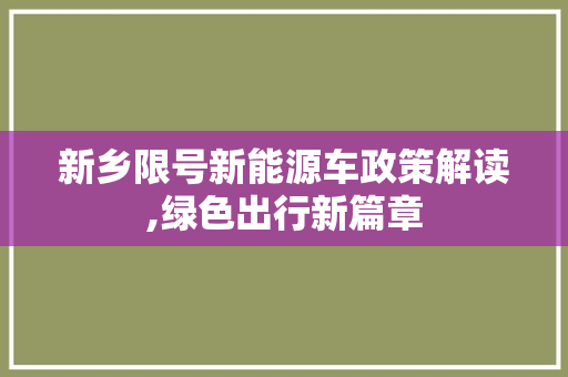 新乡限号新能源车政策解读,绿色出行新篇章