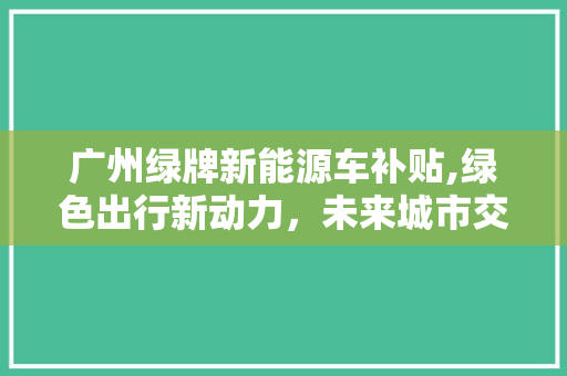 广州绿牌新能源车补贴,绿色出行新动力，未来城市交通新篇章