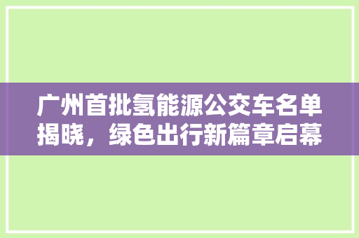广州首批氢能源公交车名单揭晓，绿色出行新篇章启幕