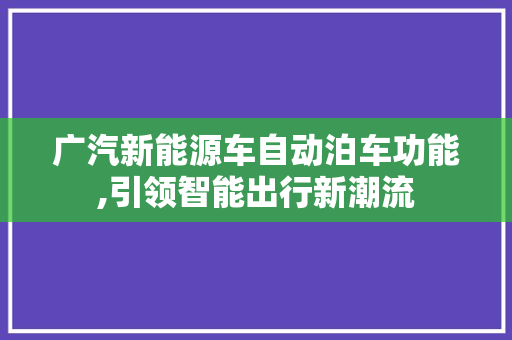 广汽新能源车自动泊车功能,引领智能出行新潮流