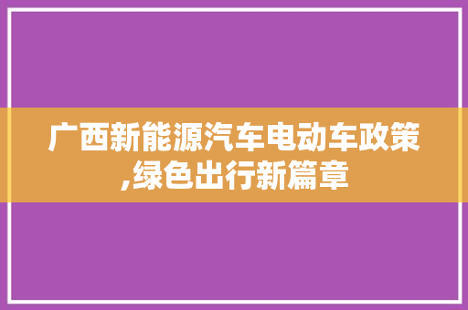 广西新能源汽车电动车政策,绿色出行新篇章