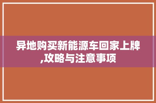 异地购买新能源车回家上牌,攻略与注意事项