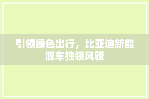 引领绿色出行，比亚迪新能源车独领风骚