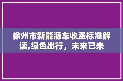 徐州市新能源车收费标准解读,绿色出行，未来已来
