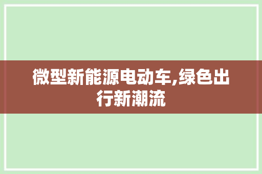 微型新能源电动车,绿色出行新潮流