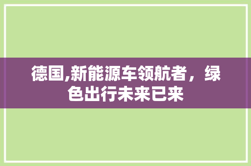 德国,新能源车领航者，绿色出行未来已来